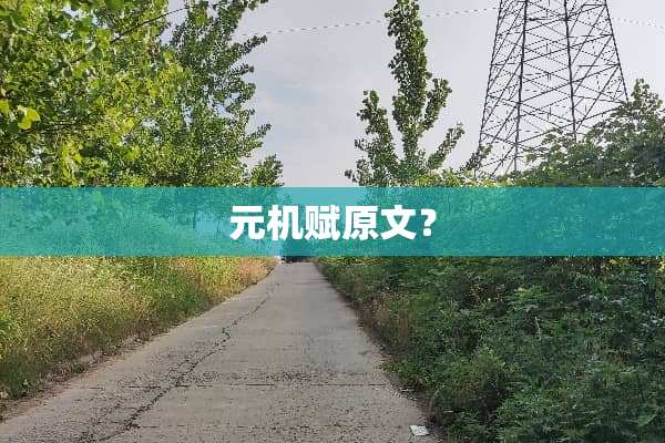 元机赋原文？