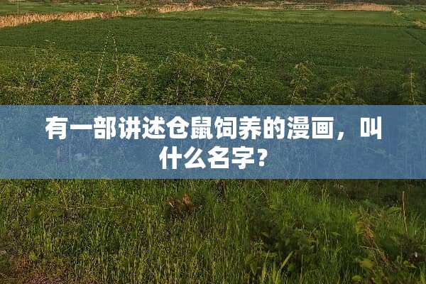 有一部讲述仓鼠饲养的漫画，叫什么名字？