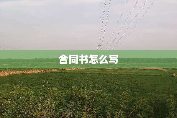 合同书怎么写