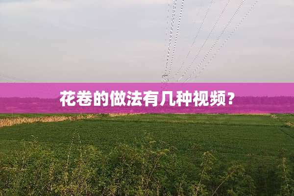 花卷的做法有几种视频？