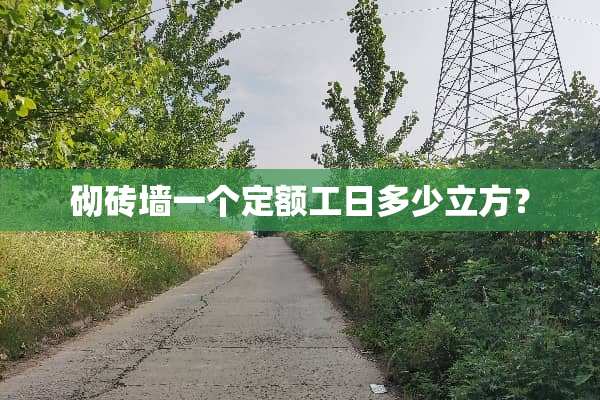 砌砖墙一个定额工日多少立方？