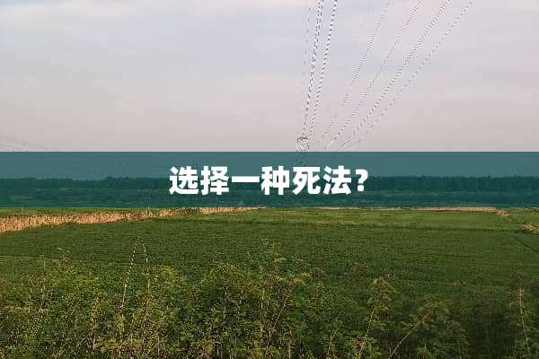 选择一种死法？