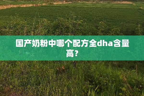 国产奶粉中哪个配方全dha含量高？