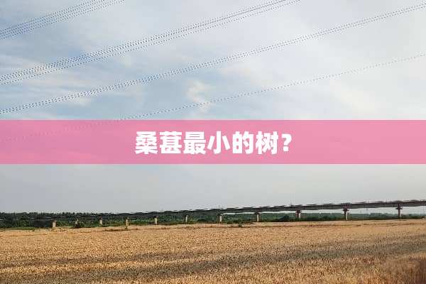 桑葚最小的树？