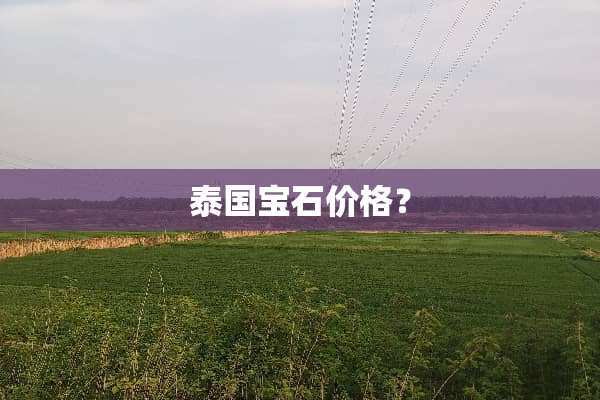 泰国宝石价格？