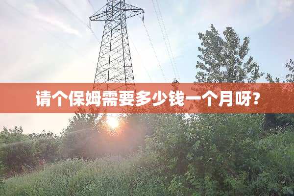 请个保姆需要多少钱一个月呀？