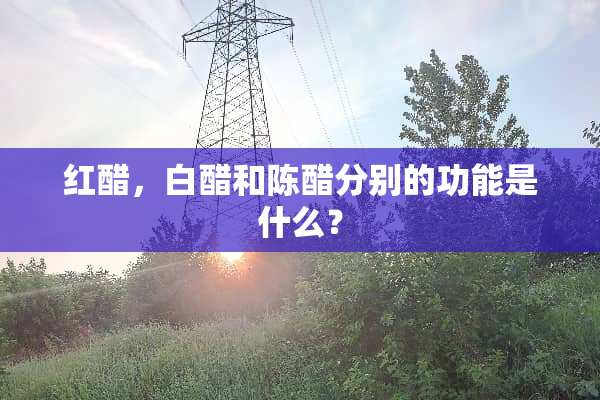红醋，白醋和陈醋分别的功能是什么？