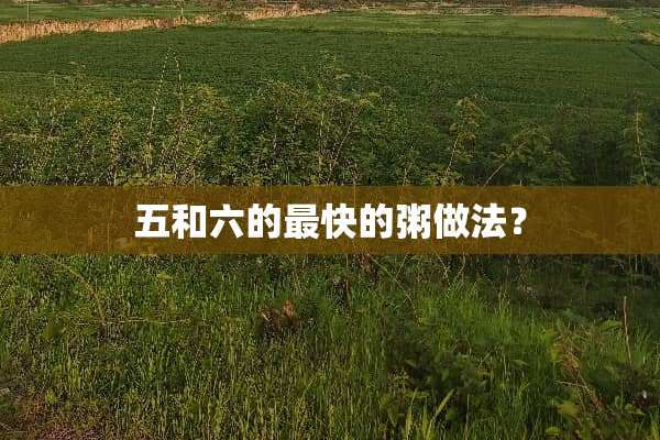 五和六的最快的粥做法？