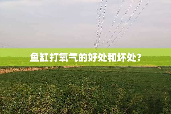 鱼缸打氧气的好处和坏处？