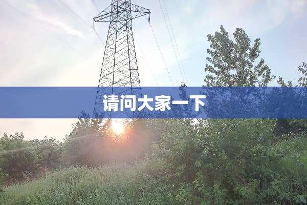 请问大家一下