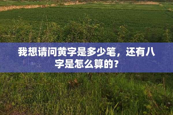 我想请问黄字是多少笔，还有八字是怎么算的？