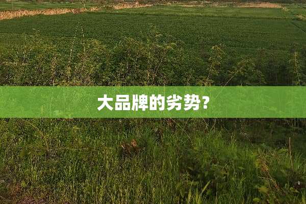 大品牌的劣势？