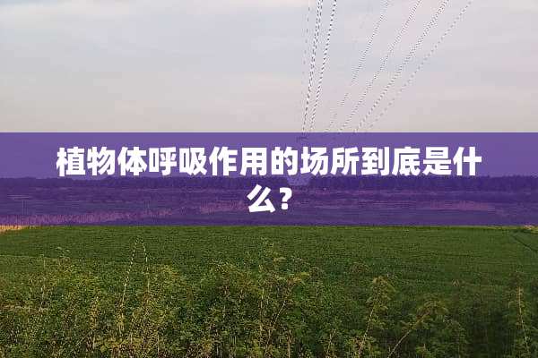 植物体呼吸作用的场所到底是什么？
