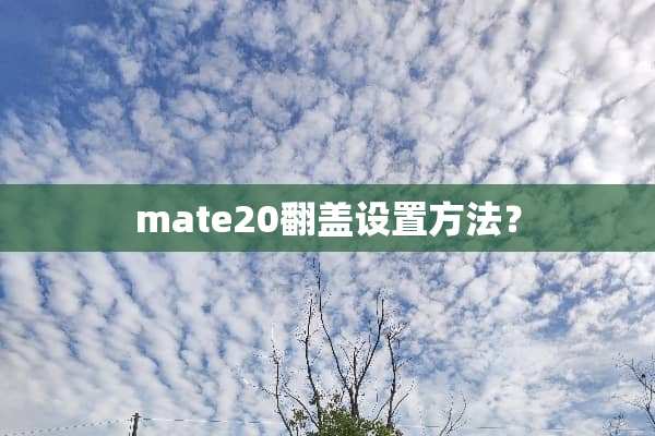 mate20翻盖设置方法？