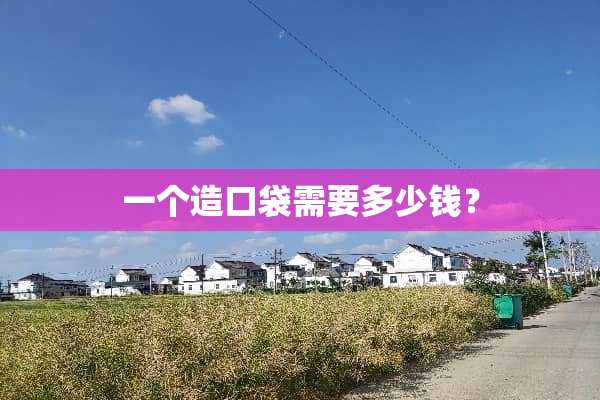 一个造口袋需要多少钱？