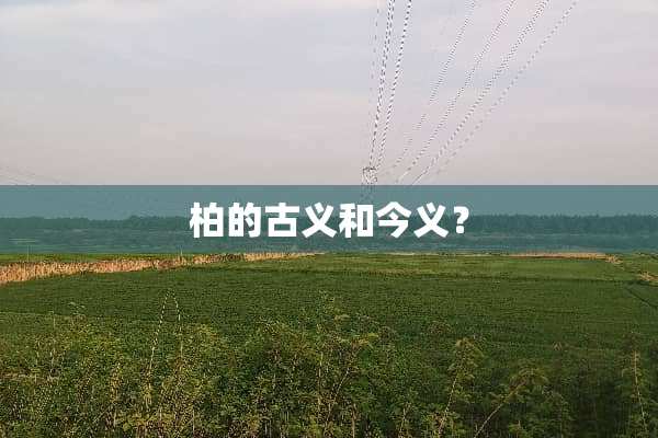 柏的古义和今义？