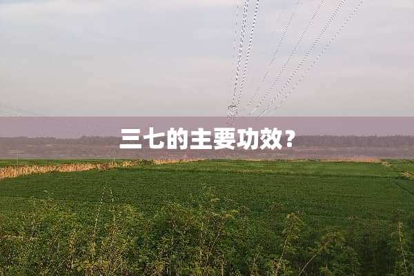 三七的主要功效？
