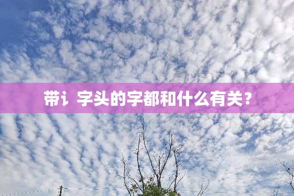 带讠字头的字都和什么有关？