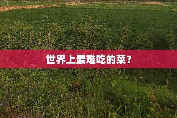 世界上最难吃的菜？