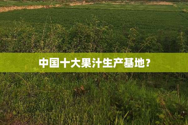 中国十大果汁生产基地？