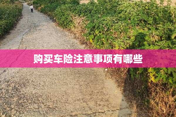 购买车险注意事项有哪些