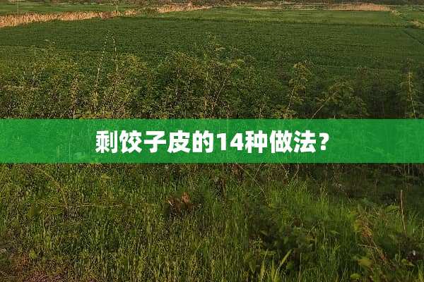 剩饺子皮的14种做法？