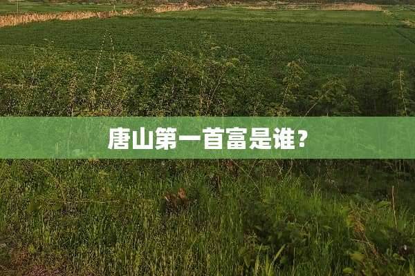 唐山第一首富是谁？