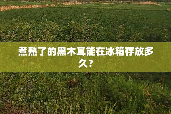 煮熟了的黑木耳能在冰箱存放多久？