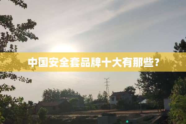 中国安**品牌十大有那些？