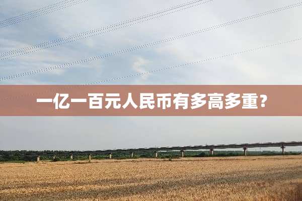 一亿一百元人民币有多高多重？