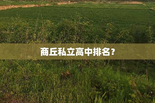 商丘私立高中排名？