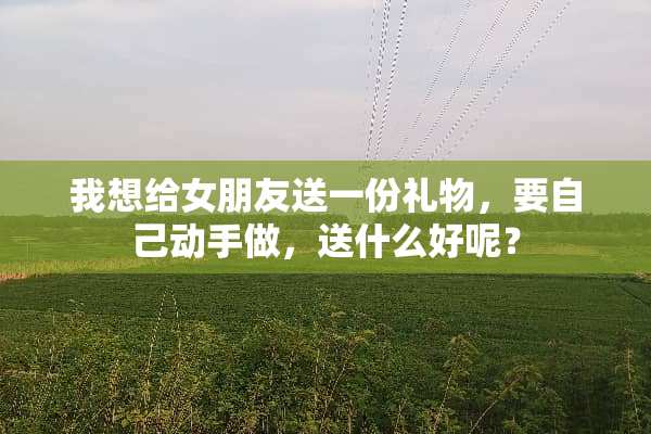 我想给女朋友送一份礼物，要自己动手做，送什么好呢？