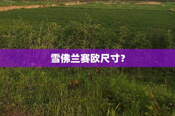 雪佛兰赛欧尺寸？