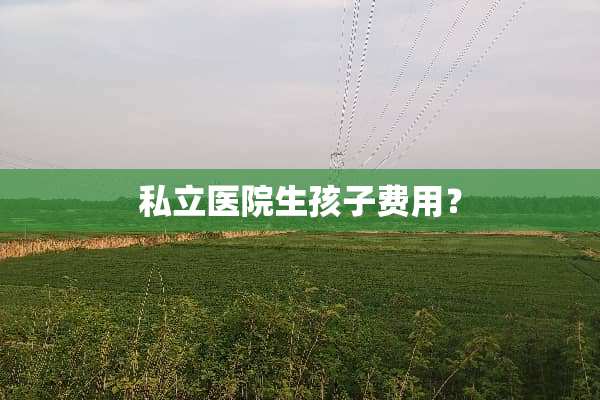 私立医院生孩子费用？