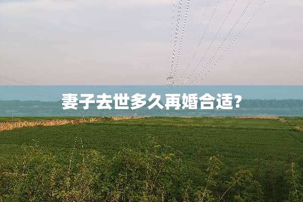 妻子去世多久再婚合适？