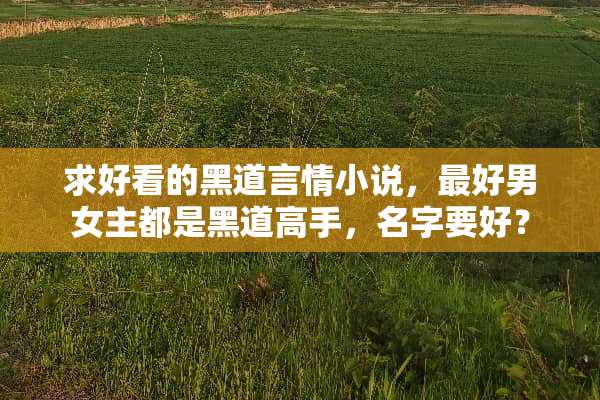 求好看的黑道言情小说，最好男女主都是黑道高手，名字要好？