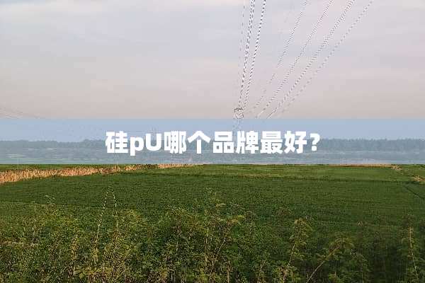 硅pU哪个品牌最好？