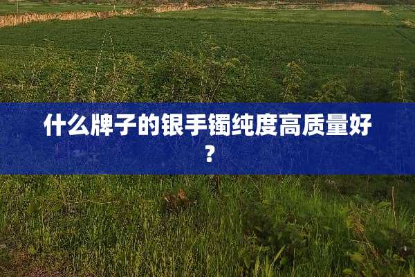 什么牌子的银手镯纯度高质量好？