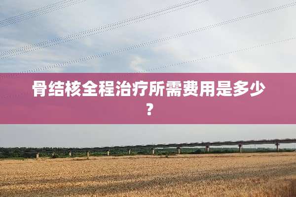 骨结核全程治疗所需费用是多少？