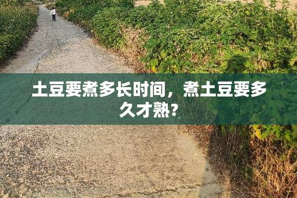 土豆要煮多长时间，煮土豆要多久才熟？
