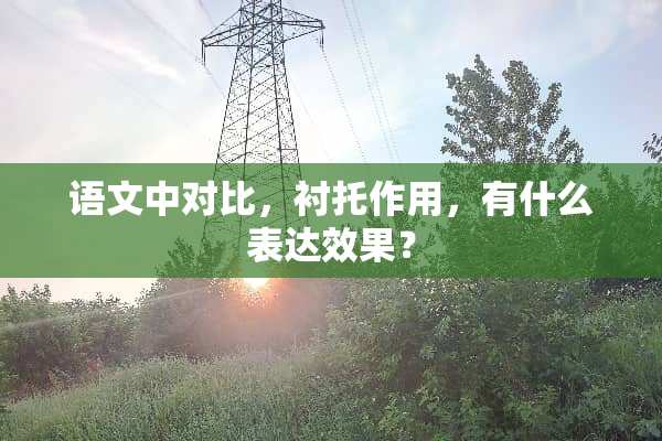 语文中对比，衬托作用，有什么表达效果？