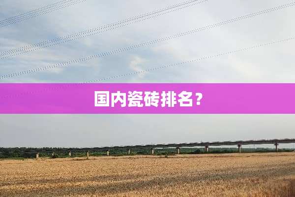 国内瓷砖排名？