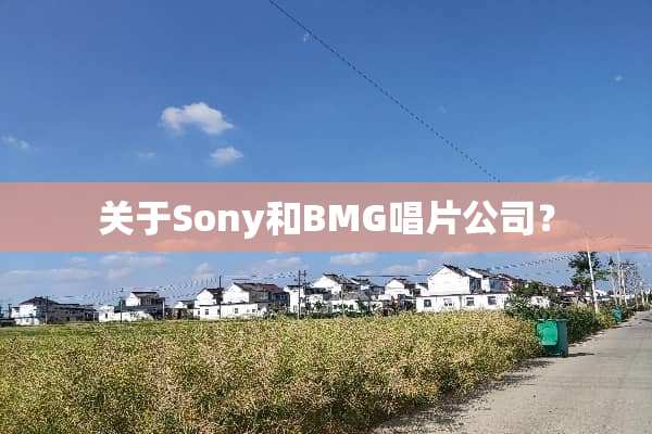关于Sony和BMG唱片公司？