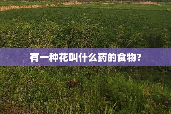有一种花叫什么药的食物？