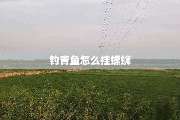 钓青鱼怎么挂螺蛳