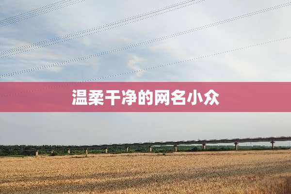 温柔干净的网名小众