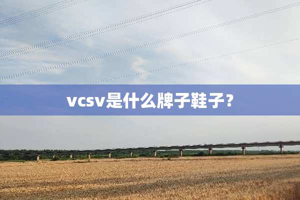 vcsv是什么牌子鞋子？