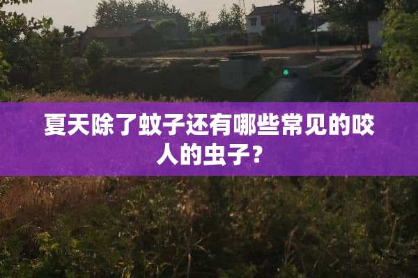 夏天除了蚊子还有哪些常见的咬人的虫子？