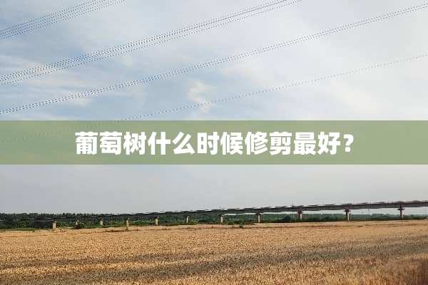 葡萄树什么时候修剪最好？