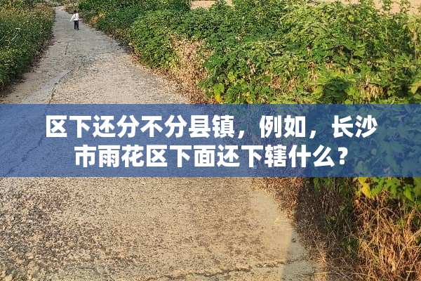区下还分不分县镇，例如，长沙市雨花区下面还下辖什么？